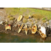 H0 Faller Boote und Tretboote